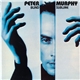 Peter Murphy - Blind Sublime